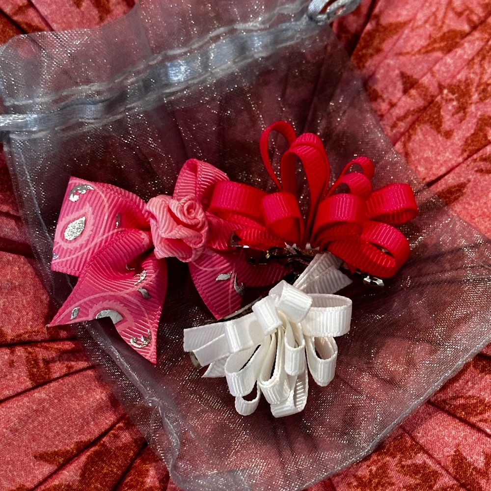 Bundle of 3 Doggy Hair Accessories 🐶